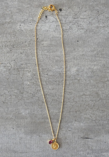 zodiac capricorn necklace with raw garnet crystal