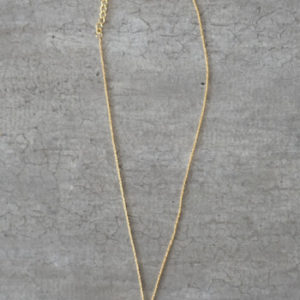 zodiac leo necklace with raw carnelian crystal