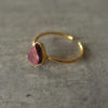 RED JASPER & GOLD 1